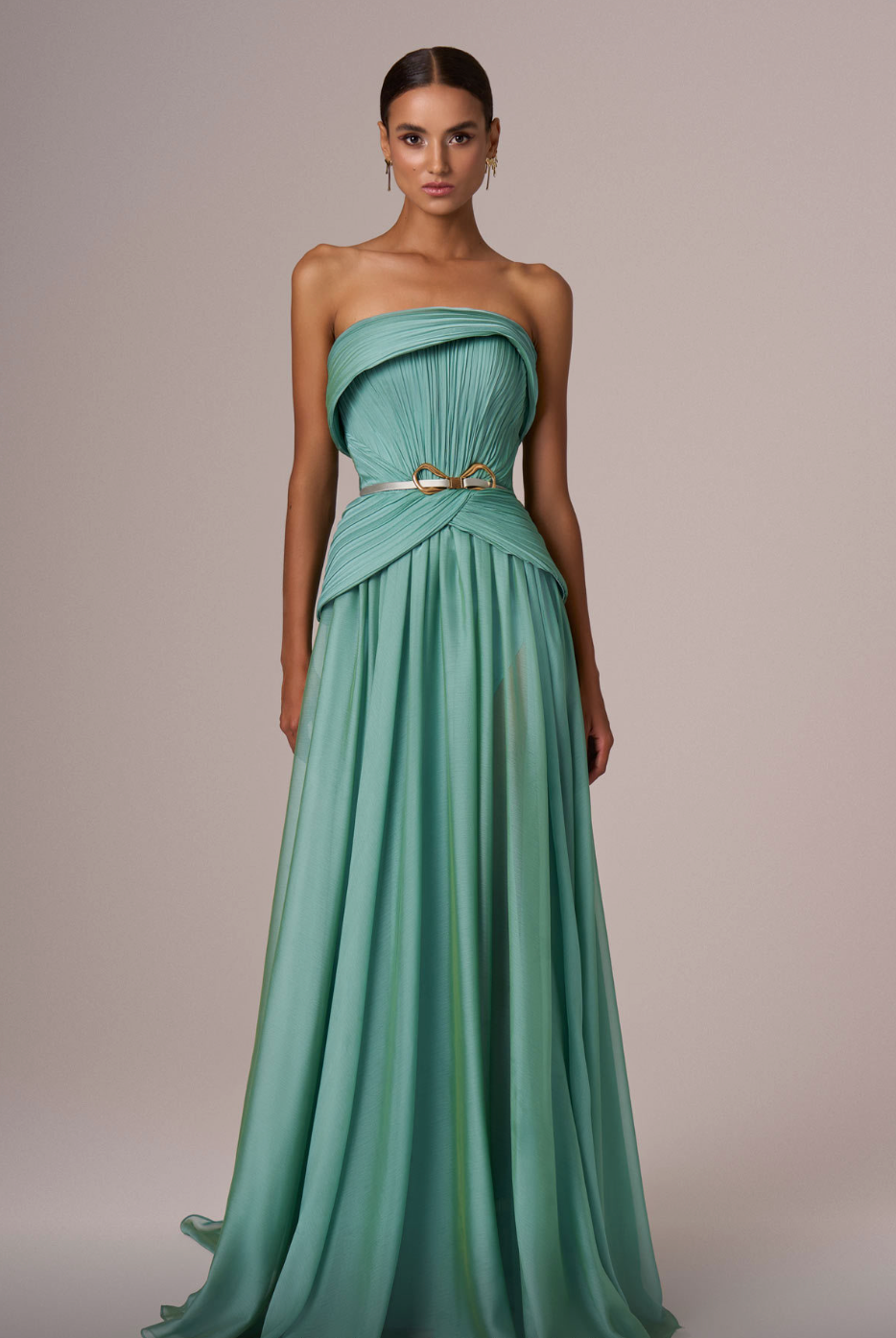 Long Sheer Dress