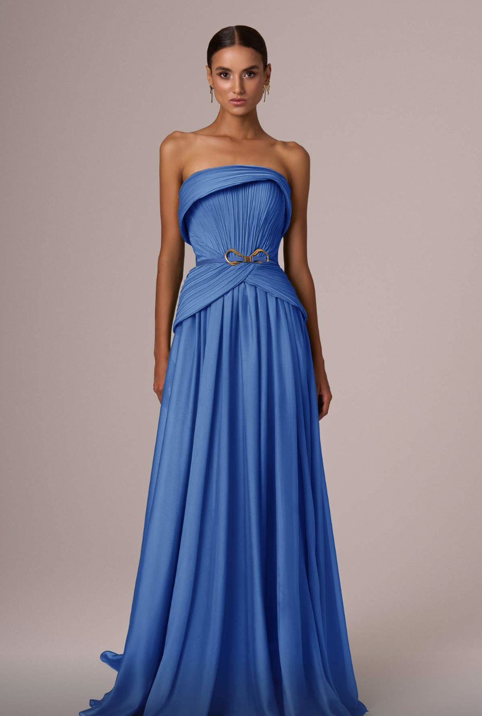 Long Sheer Dress