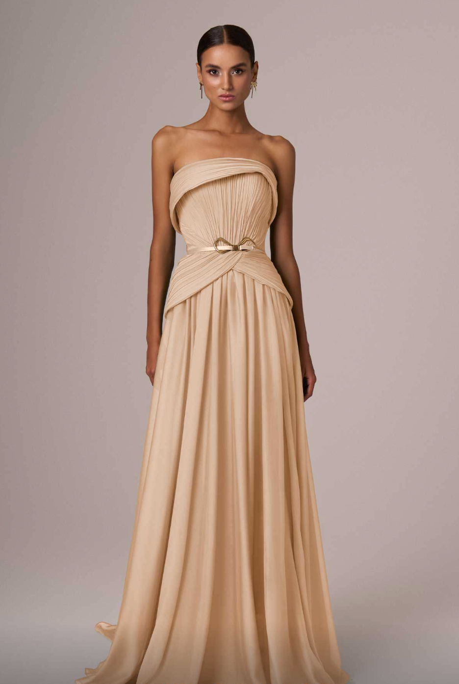 Long Sheer Dress