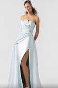 Baby Blue Swan Gown